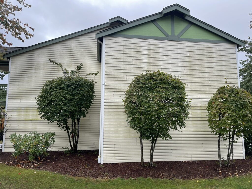 House Pressure Washing Before