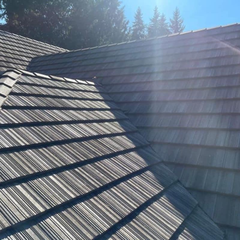 Roof-Cleaning-Services-in-Bremerton, WA